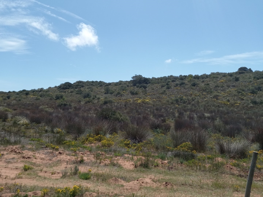 3 Bedroom Property for Sale in Stilbaai Rural Western Cape